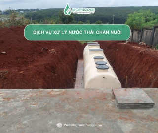 Dịch vụ xử lý nước thải chăn nuôi đạt chuẩn môi trường