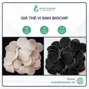 Giá thể vi sinh Biochip