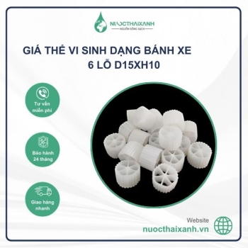 Giá thể vi sinh dạng bánh xe 6 lỗ D15xH10