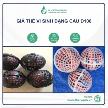 Giá thể vi sinh dạng cầu D100