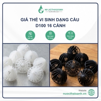 Giá thể vi sinh dạng cầu D100 16 cánh