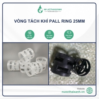 Vòng tách khí Pall Ring 25mm