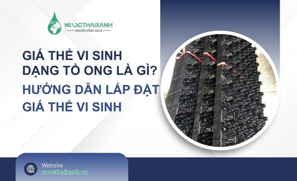 Giá thể vi sinh dạng tổ ong là gì? Hướng dẫn lắp đặt giá thể vi sinh