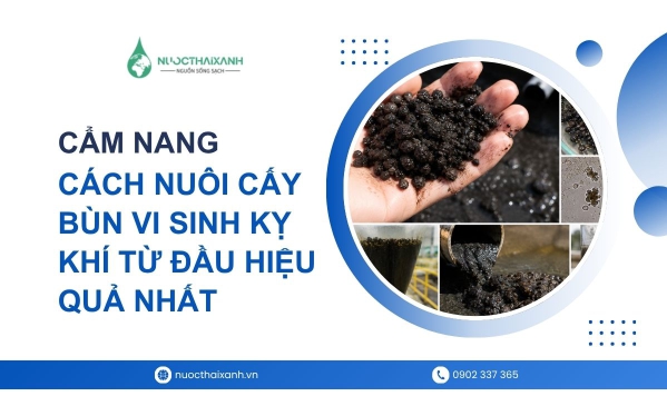 Cẩm nang cách nuôi cấy bùn vi sinh kỵ khí từ đầu hiệu quả nhất