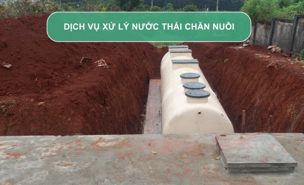 Dịch vụ xử lý nước thải chăn nuôi đạt chuẩn môi trường