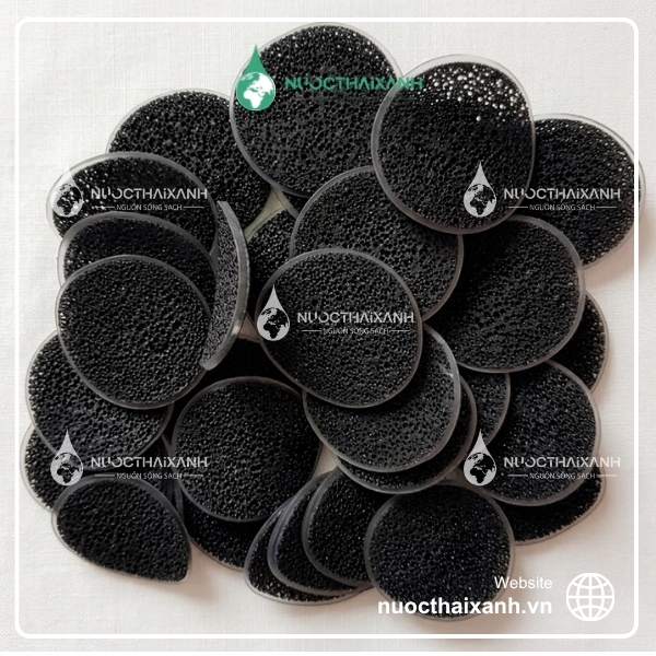 Giá thể vi sinh Biochip