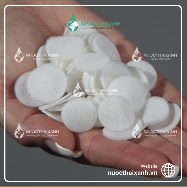 Giá thể vi sinh Biochip