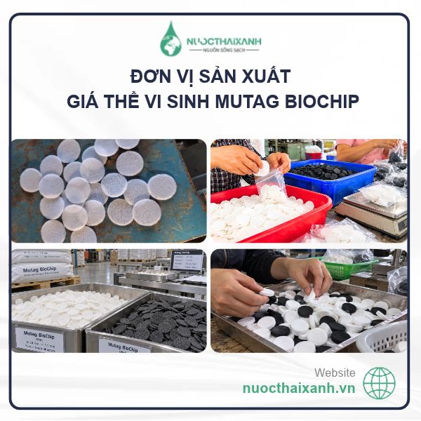 Đơn vị sản xuất giá thể vi sinh Mutag BioChip giá rẻ