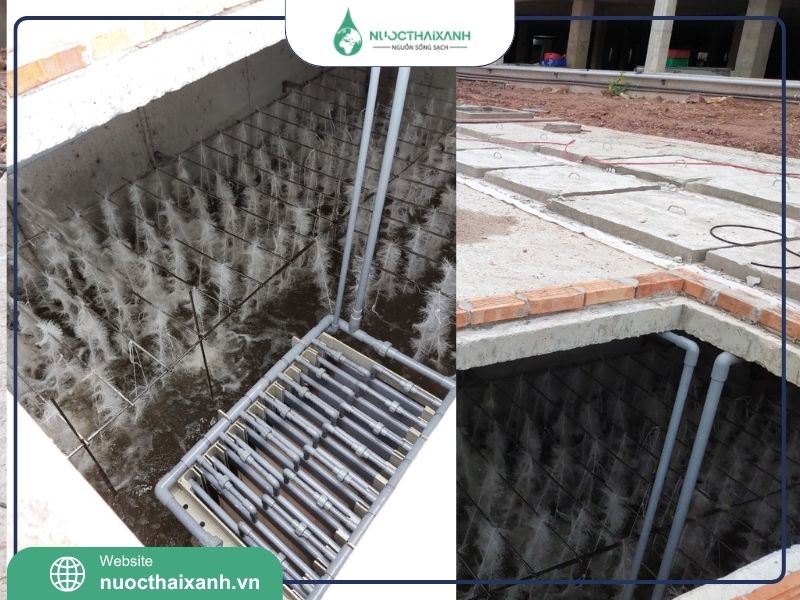 Đệm vi sinh dạng sợi