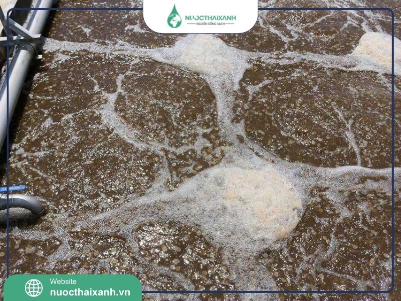 Giá giá thể vi sinh