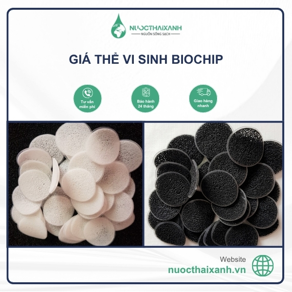 Giá thể vi sinh biochip