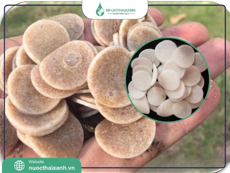 giá thể vi sinh biochip