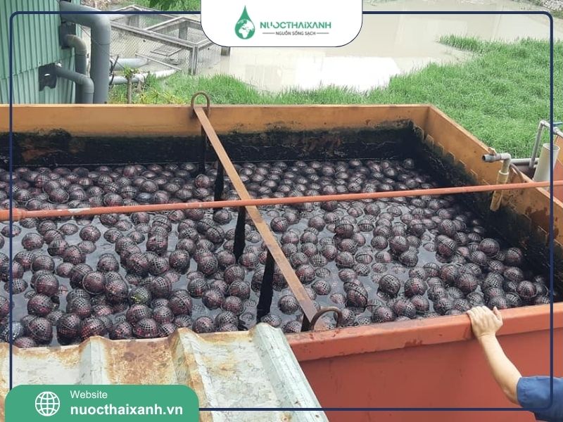 giá thể vi sinh dạng cầu d100