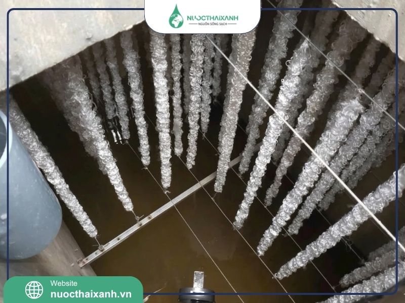 Giá thể vi sinh dạng sợi