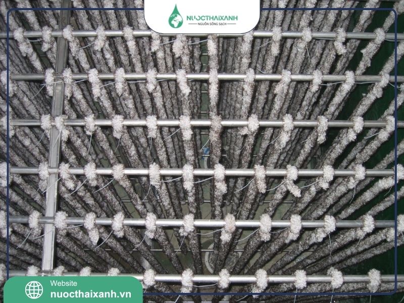 Giá thể vi sinh dạng sợi là gì