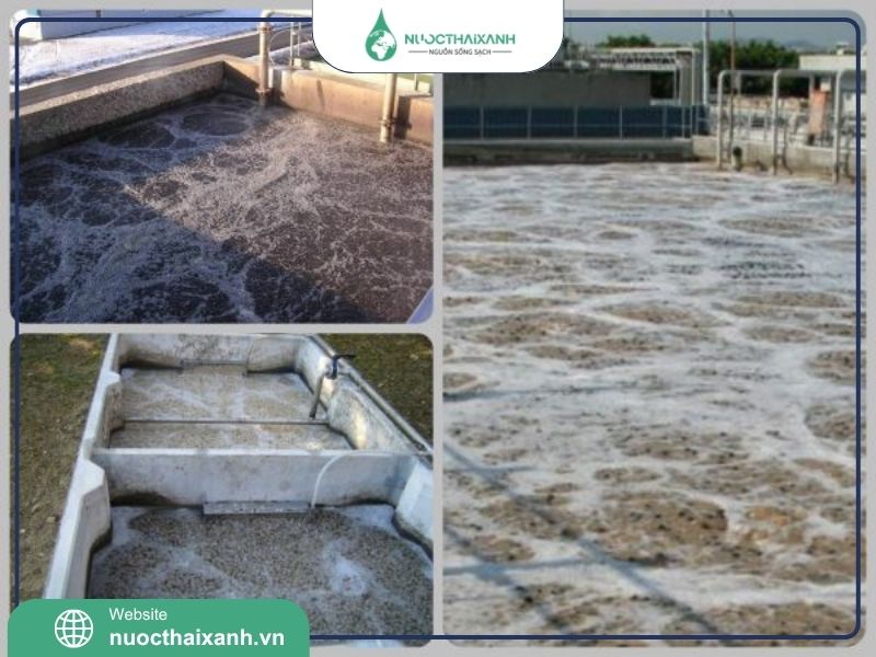 giá thể vi sinh mbbr nhật bản​