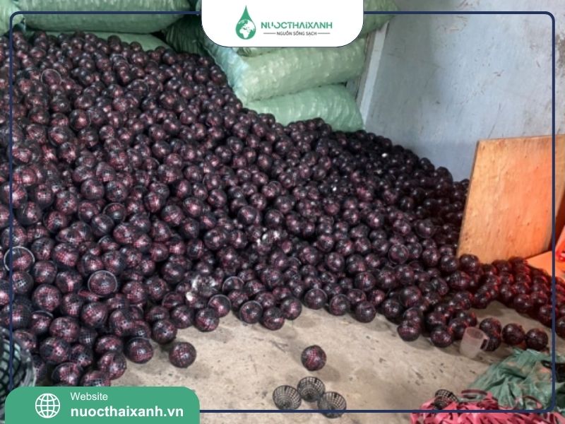 Giá thể vi sinh trong hệ thống xử lý nước thải