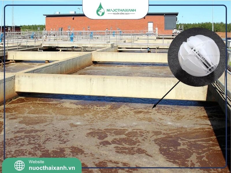 lắp đặt giá thể vi sinh dạng cầu