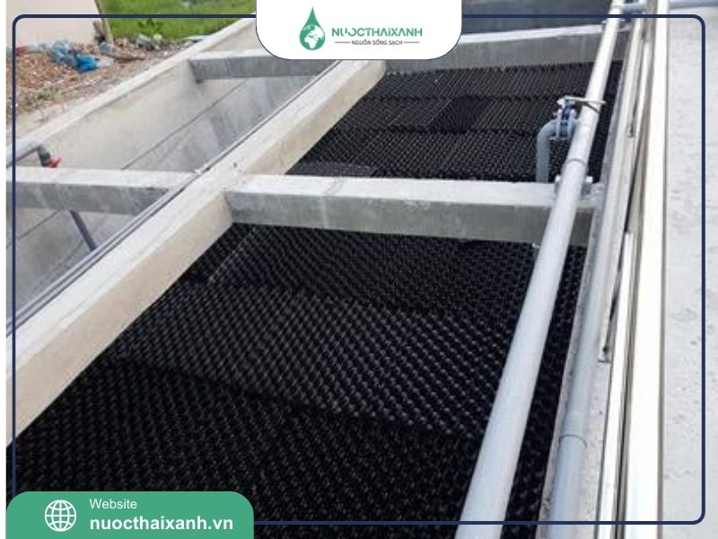 Mua giá thể vi sinh dạng tổ ong