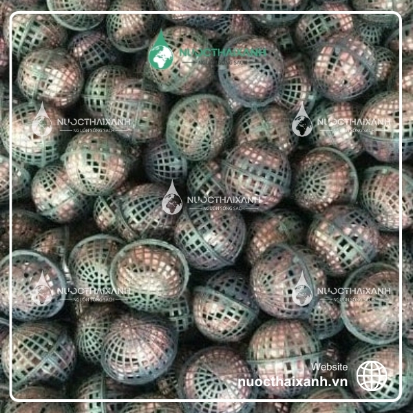 quả cầu vi sinh d100