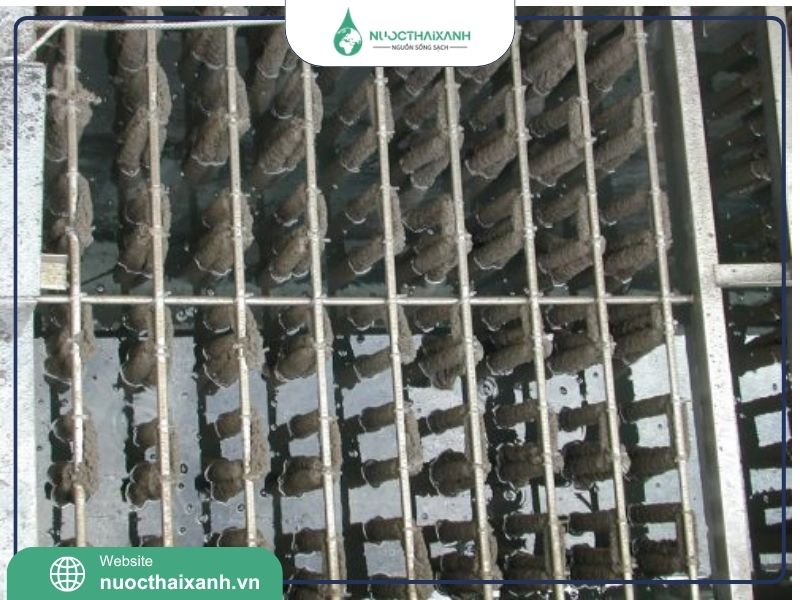 sợi vi sinh xử lý nước thải