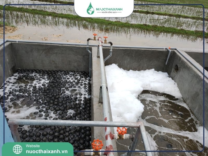 Ứng dụng giá thể vi sinh mbbr