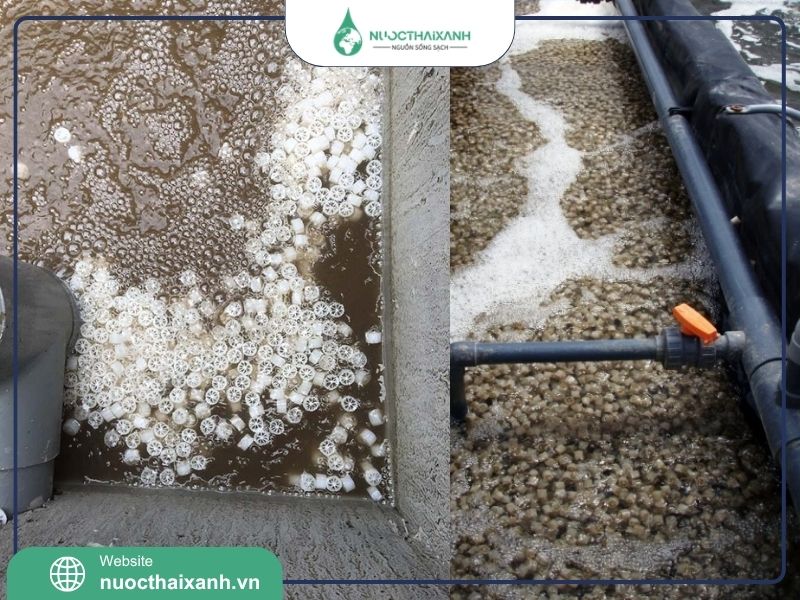 xử lý nước thải mbbr