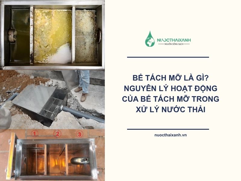 Bể tách mỡ là gì