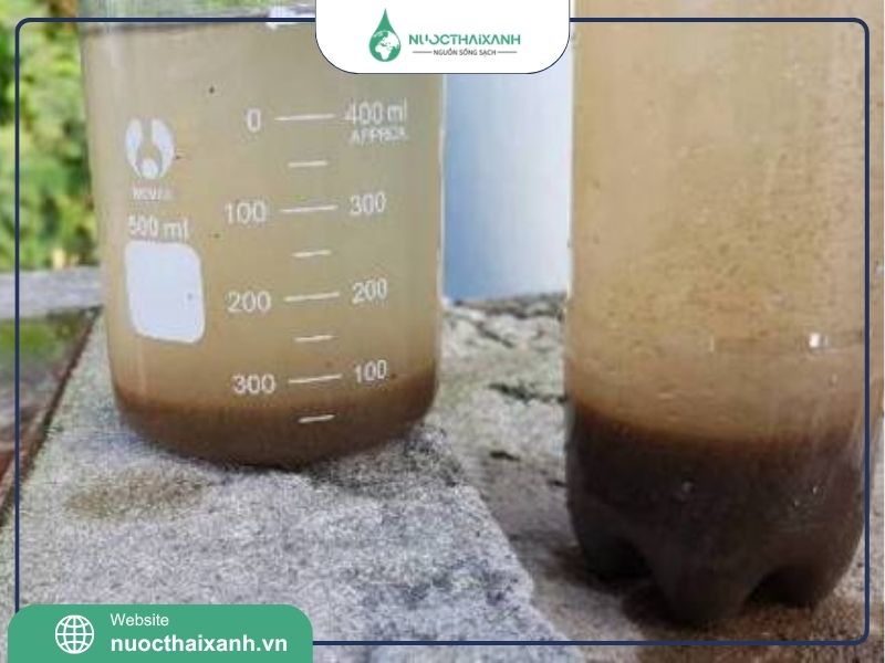 bùn vi sinh hiếu khí​