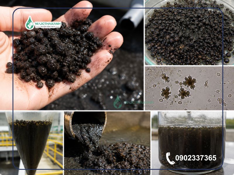 bùn vi sinh kỵ khí