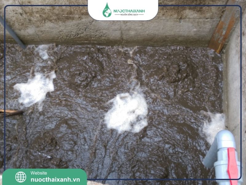 bùn vi sinh là gì