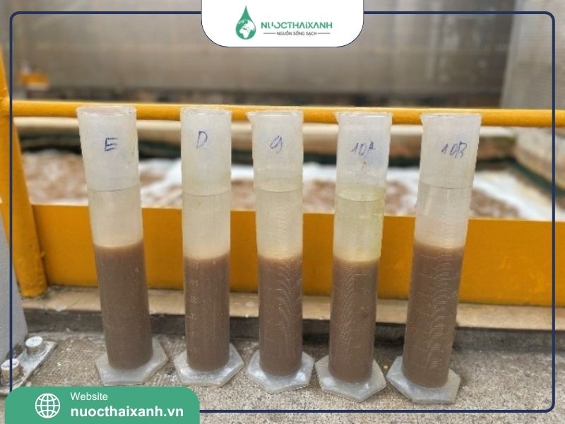 cung cấp bùn vi sinh​