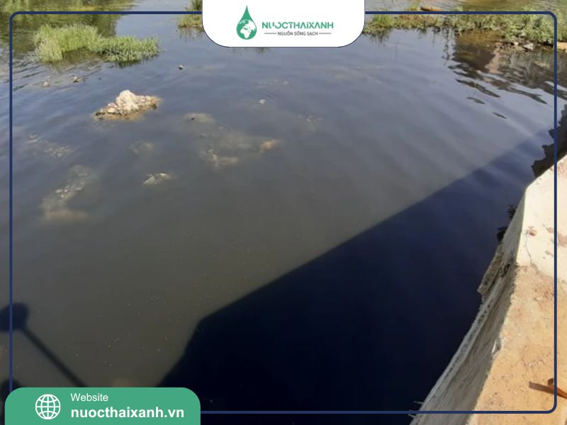 Nước thải đen và nước thải xám