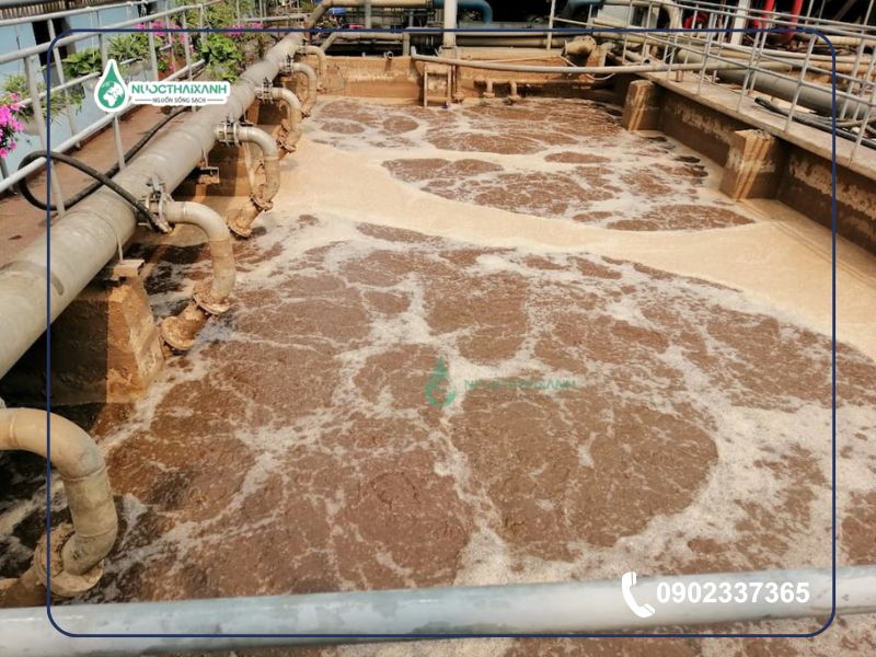 Nuôi cấy bùn vi sinh kỵ khí