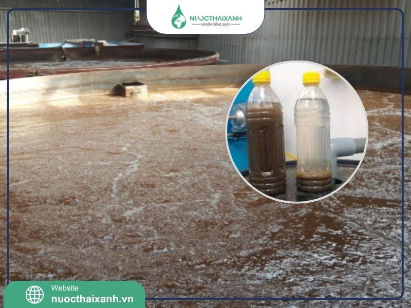 Sự cố bùn vi sinh