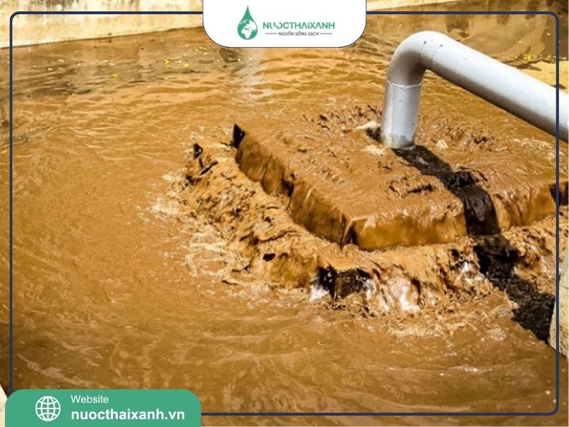 Thực trạng nước thải tại nhà máy