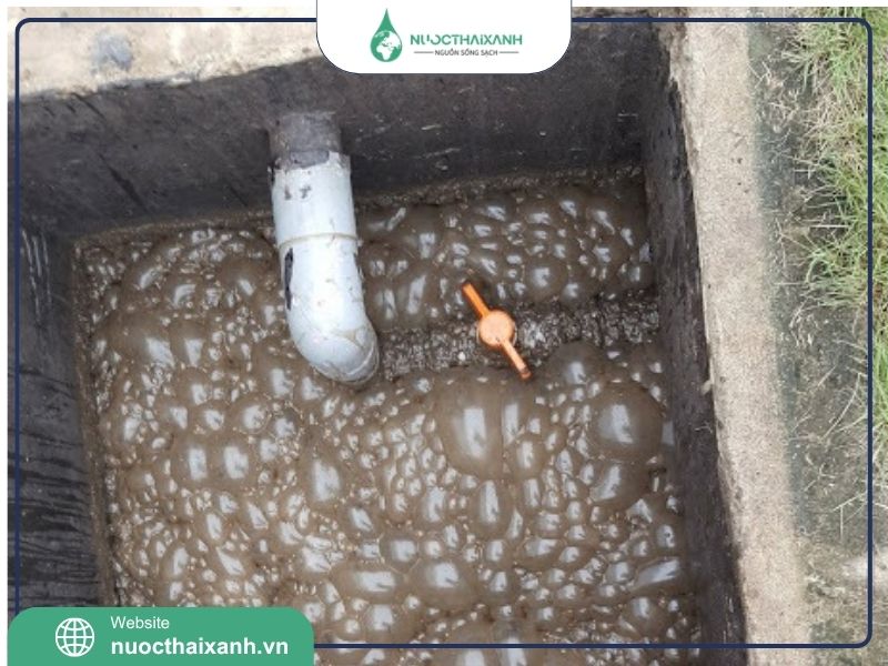 vận chuyển bùn vi sinh​