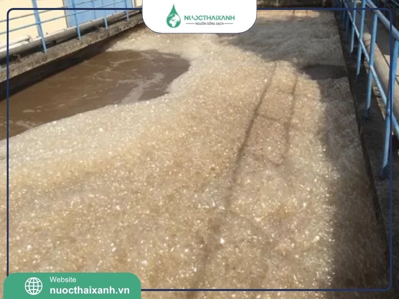 Vi sinh hiếu khí xử lý nước thải
