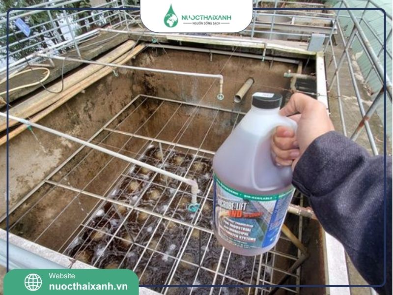 Vi Sinh Vật Hiếu Khí