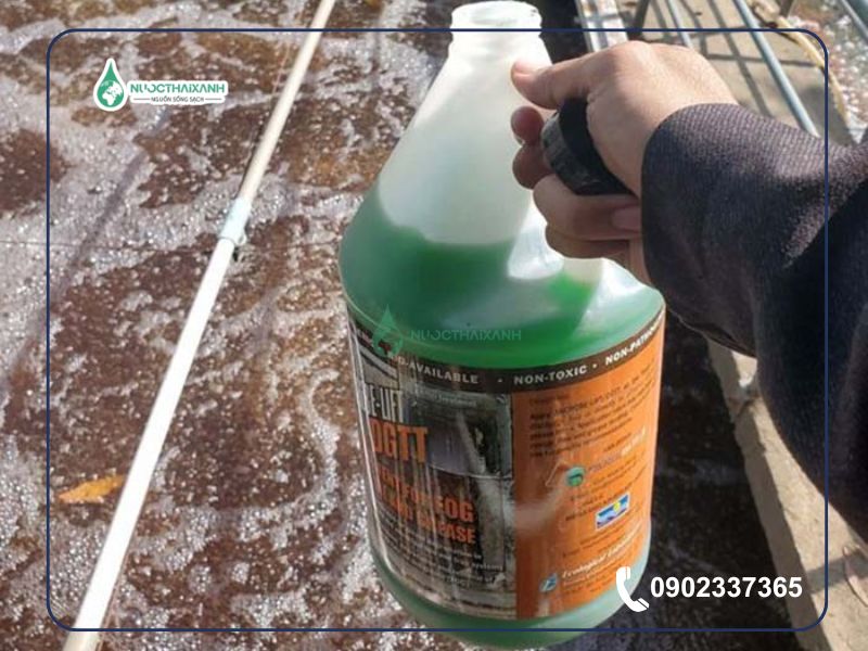 Men vi sinh xử lý dầu mỡ trong đường ống